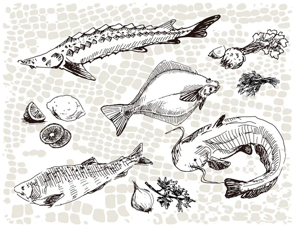 Fruits de mer — Image vectorielle