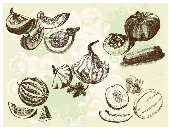 瓜类作物 — 图库矢量图片