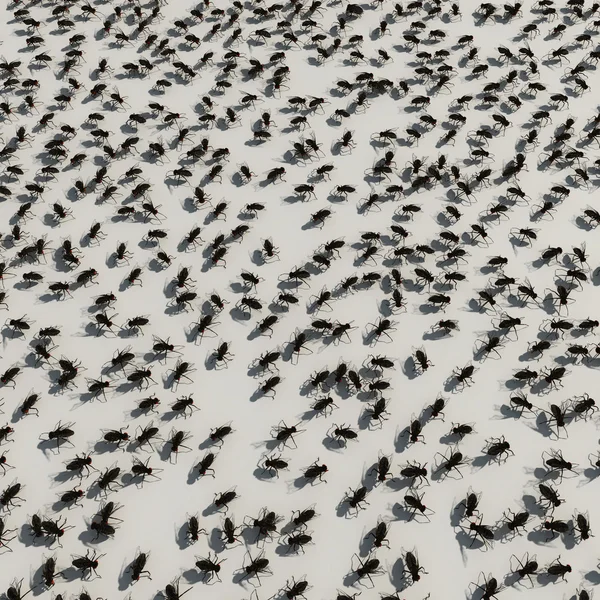 Μύγες φόντο — Φωτογραφία Αρχείου
