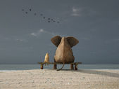 slon a pes sedí na opuštěné pláži