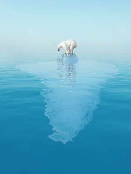 Último urso polar no iceberg — Fotografia de Stock