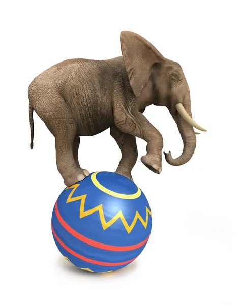 Elefant balanciert auf Ball — Stockfoto