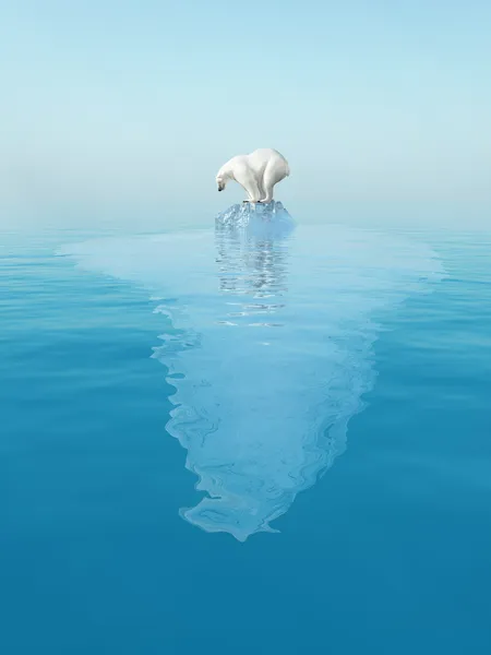 Último urso polar no iceberg — Fotografia de Stock