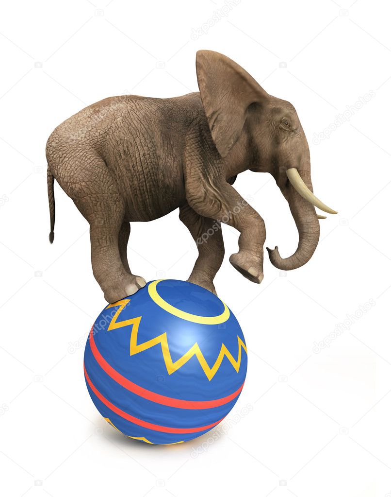 Elephant balance on ball