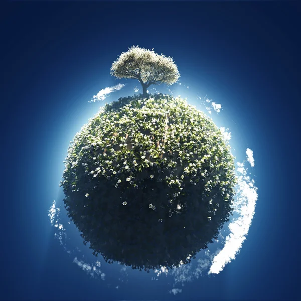Blossoming tree on small planet — Stock Photo, Image