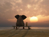 slon a pes sedí na letní beach