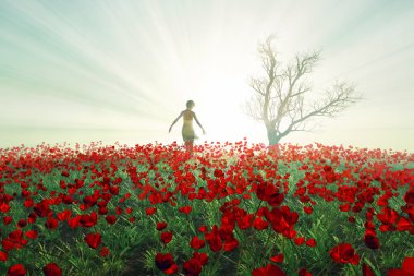 Woman on the poppy field clipart