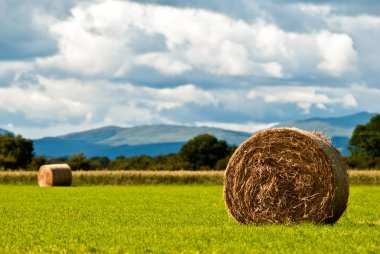 Bales of hay on meadow against the sky V3 clipart