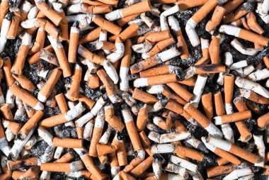 Many cigarette butts clipart
