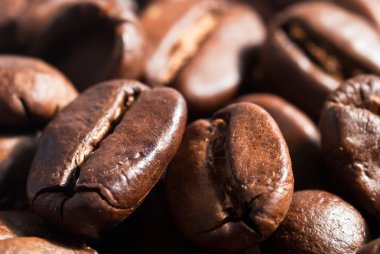Coffee beans background V1 clipart