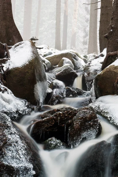 stock image Stream running through the winter landscape