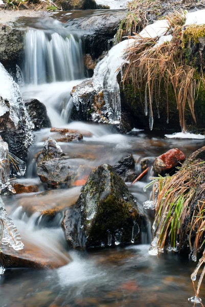 stock image Icy stream