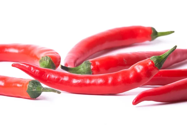 Molti peperoni rossi — Foto Stock