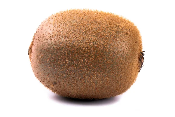 Kiwi alla — Stockfoto