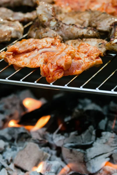 Mięso na grillu — Zdjęcie stockowe