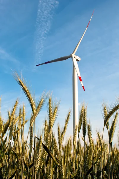 A wind turbine on the field — Stock Photo, Image