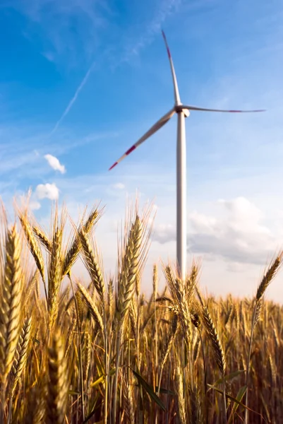 Een windturbine op het veld — Stockfoto