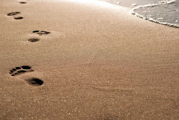 Footprints on the beach — Stock Photo, Image