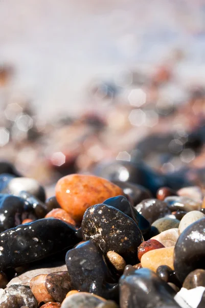 Muitas pedras de seixos — Fotografia de Stock