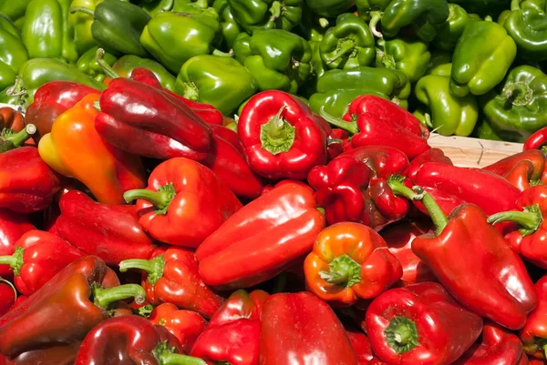 Paprika rossa e verde — Foto Stock