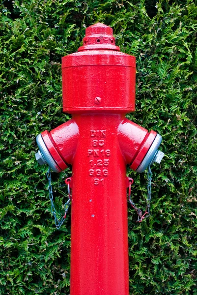 Hydrant V2 — Stock Photo, Image