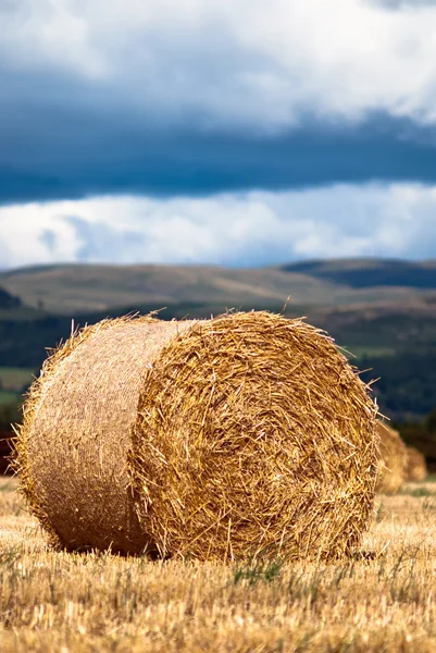 stock image Bales of hay on meadow against the sky V2