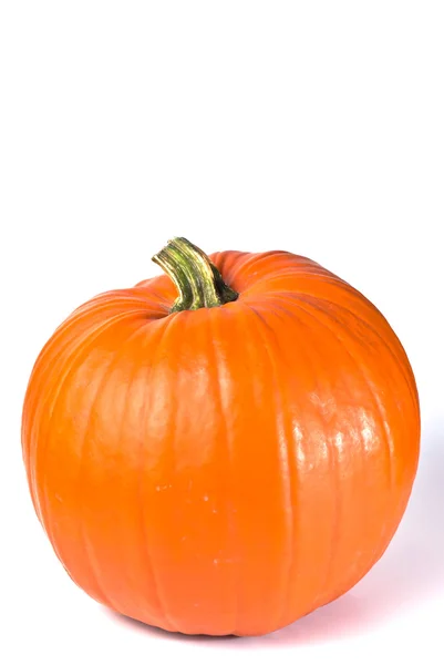 Pumpkin vertically — Stock Photo, Image
