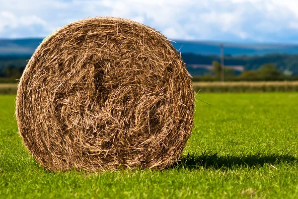 Bales of hay on meadow against the sky V5 — Stock Photo, Image