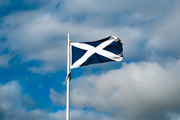 stock image Scottish flag