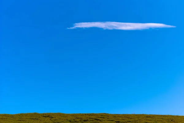 Луг против голубого неба — стоковое фото