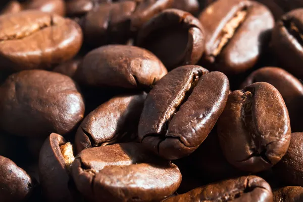 커피 콩 배경 V2 — 스톡 사진