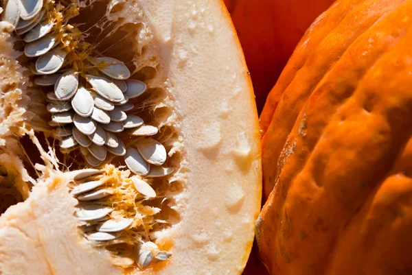 Pumpkin cut — Stock Photo, Image