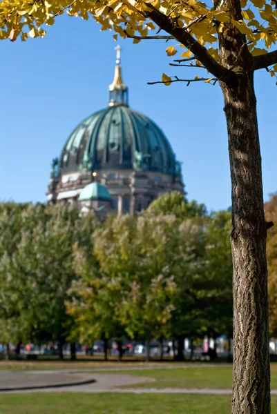 Berlínská katedrála za stromy v2 — Stock fotografie