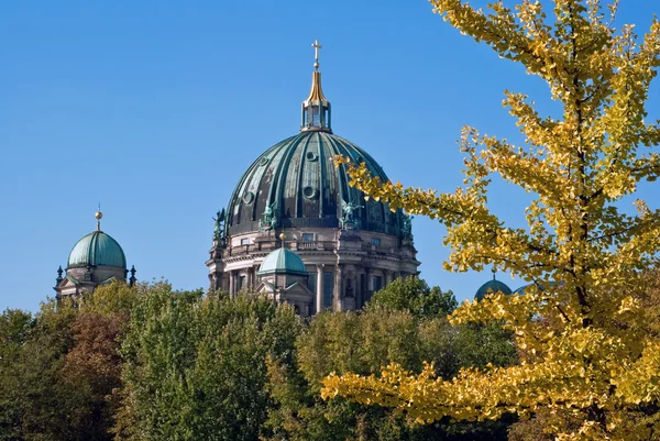 Berlínská katedrála za stromy v1 — Stock fotografie