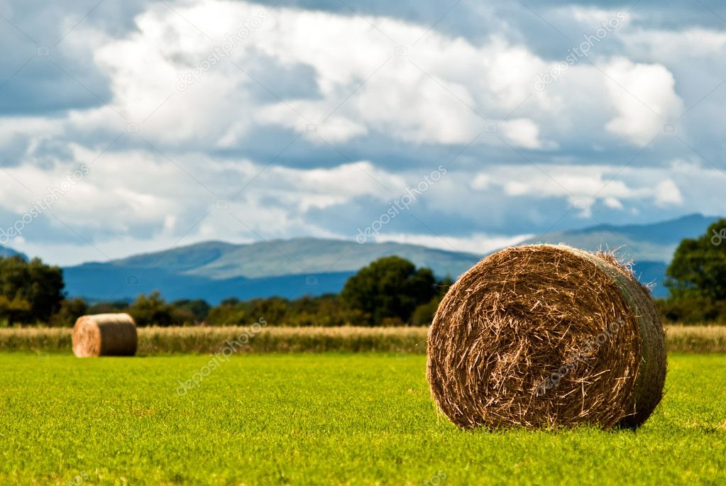 Bales of hay on meadow against the sky V3