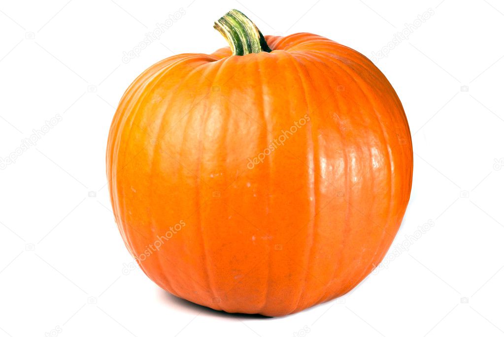 Pumpkin exempted