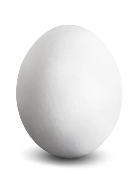 Bílá vejce — Stock fotografie