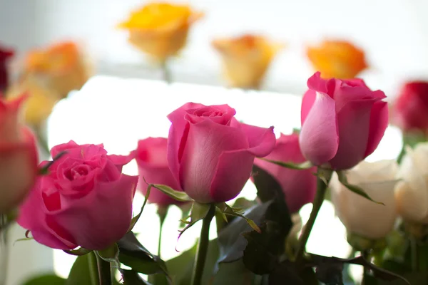 Various flowers in the shop — Stock Photo, Image