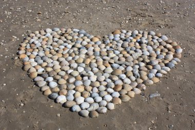 Heart of Shells clipart