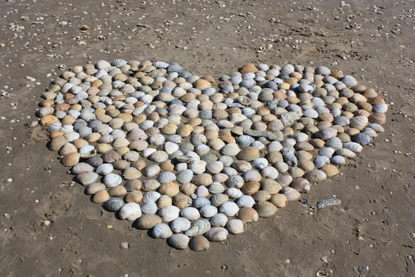 stock image Heart of Shells