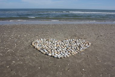 Heart of shells ocean background clipart