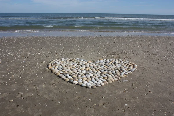 Corazón de conchas fondo marino Fotos De Stock Sin Royalties Gratis