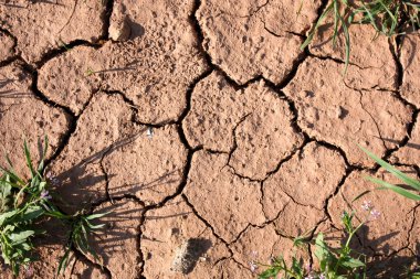 Drought Soil clipart