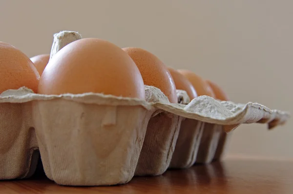 stock image Eggs in the box