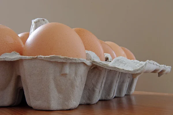 Stock image Eggs in the box