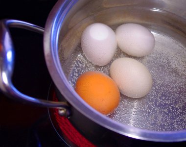 Four boiling eggs clipart