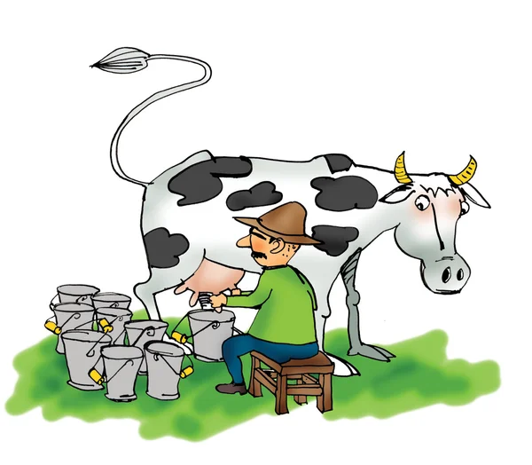 Bild eines Mannes, der eine Kuh melkt — Stockfoto