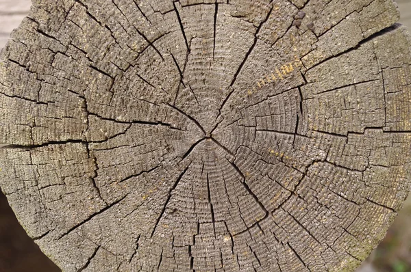 Staré dřevo řezané textury — Stock fotografie