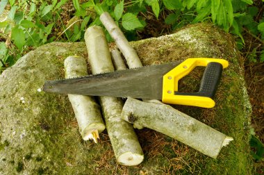 kullanılan el-testere ve taş orman odun