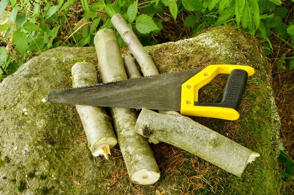 Well used hand-saw and firewood on the stone in forest — Stock Photo, Image